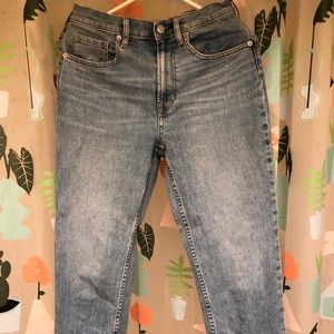 Everlane Cheeky Straight Jean